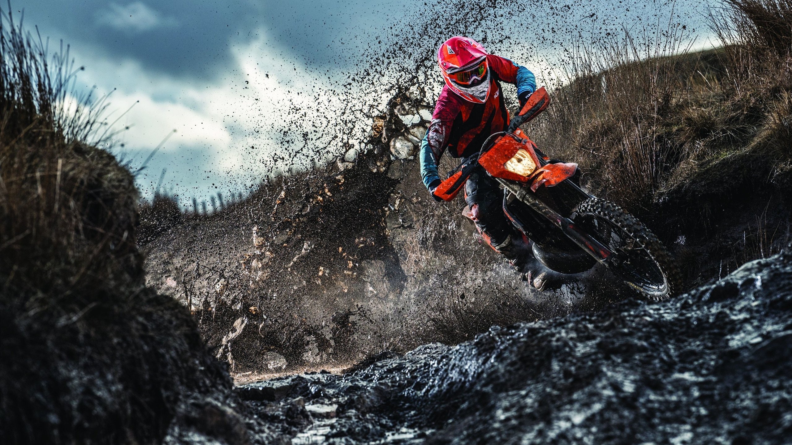 年度焦点之战之夜,当阿尔瓦雷斯用杀伤为拳坛写下新定义